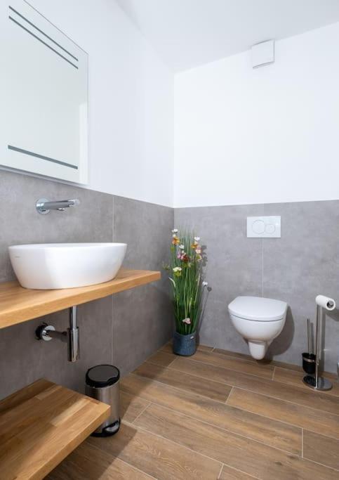 Ferienhaus Mountain View Six50 Mit Sauna Und Kamin In St. Andreasberg Sankt Andreasberg Exterior foto